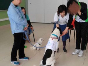 香港動物輔助治療協會HKAATA - 兒童及青少年動物輔助治療服務AAT