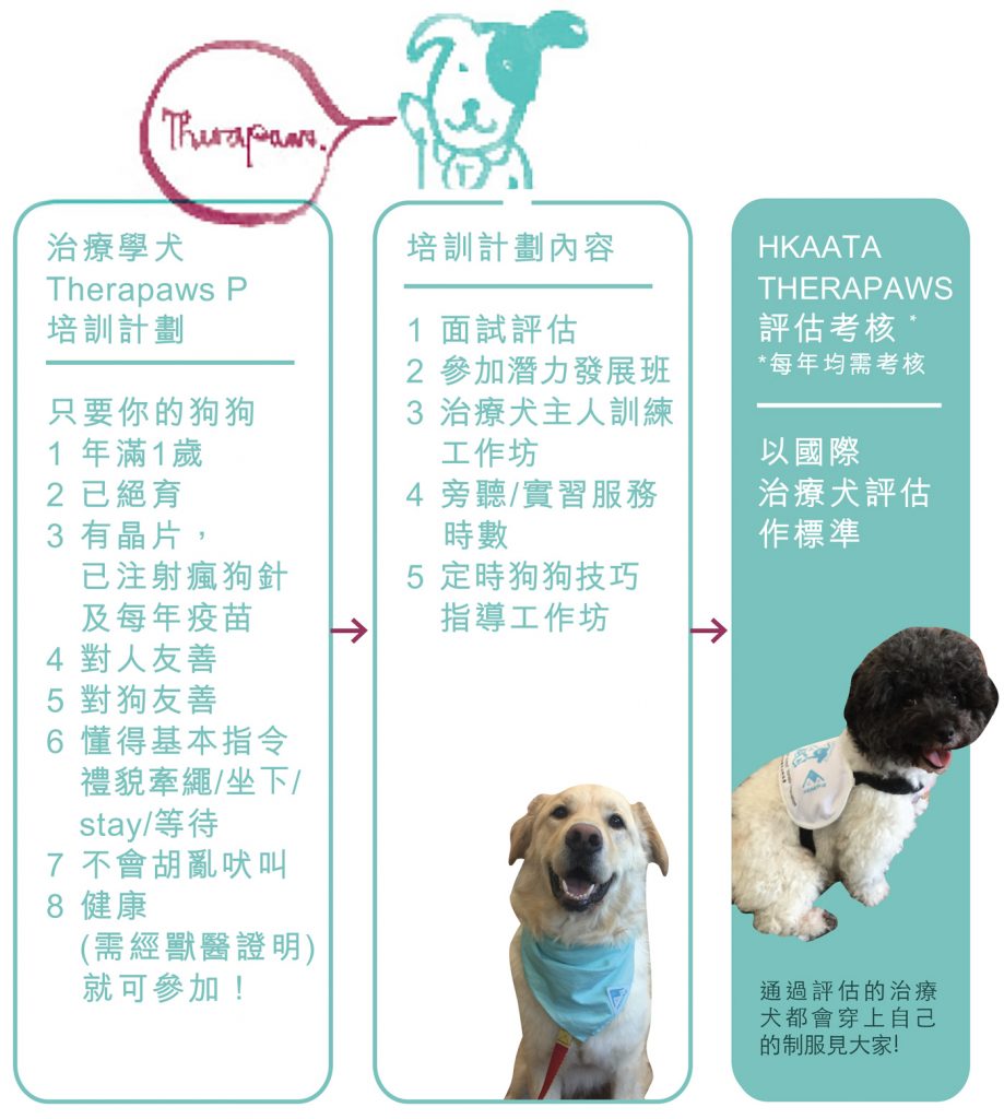 香港動物輔助治療協會 HKAATA - THERAPAWS 治療犬及 Therapaws P治療學犬計劃